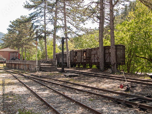 Obraz OLYMPUS DIGITAL CAMERA