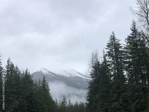 Obraz snow covered mountains