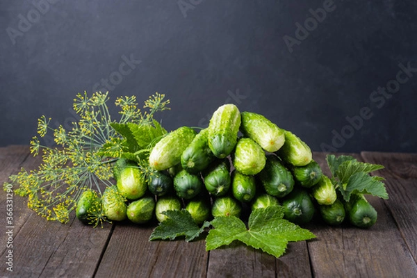 Fototapeta lightly salted cucumbers
Harvesting cucumbers for the winter in jars with dill and garlic. Fermented vegetables