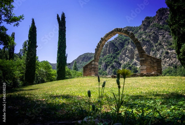 Obraz landscape with trees