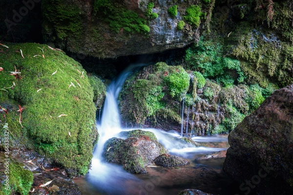 Obraz waterfall in the forest