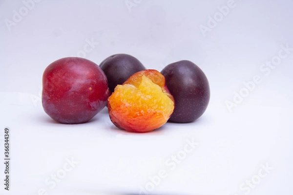 Obraz plum