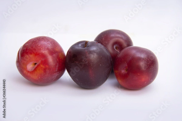 Obraz plum