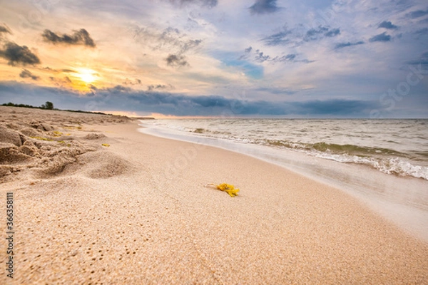 Fototapeta Zachód słońca na piaszczystej plaży