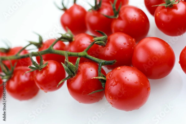 Obraz tomatoes cherry on a white background