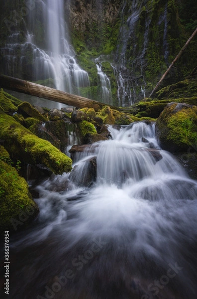 Fototapeta Waterfall in Oregon at Proxy Falls