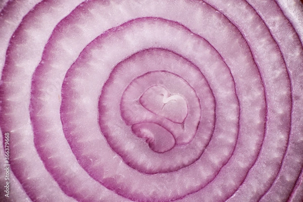 Fototapeta Red onion close-up as a background texture