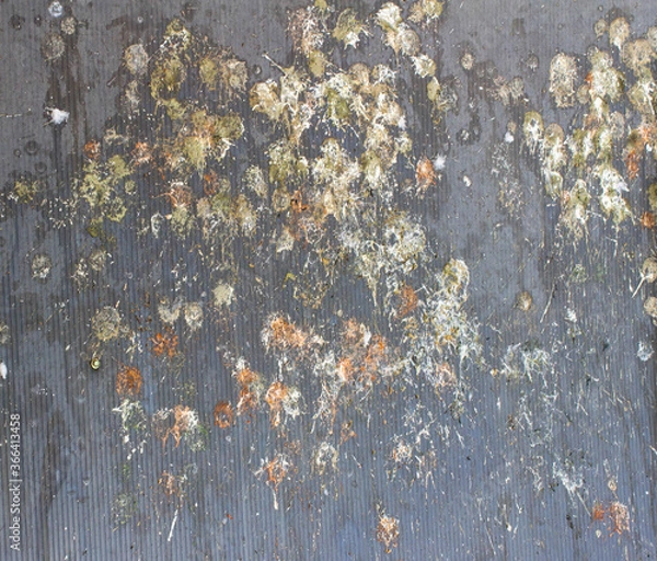 Obraz Bird dropping on roof , dirty roof,bird poop