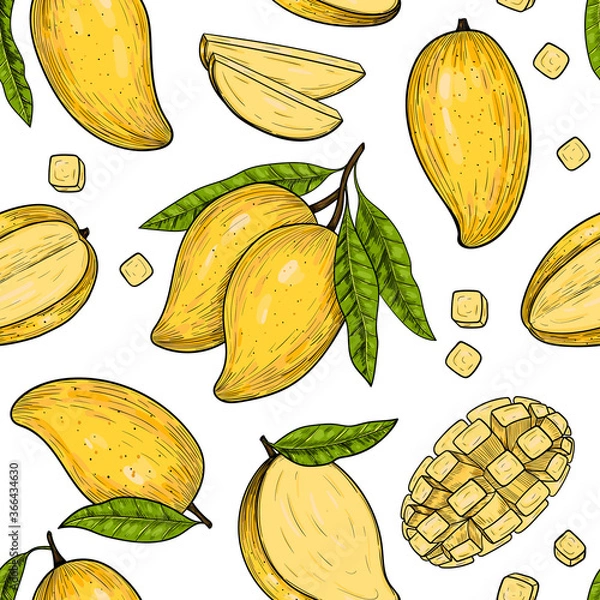 Fototapeta Vector mango  hand drawn sketch.  Vector seamless pattern.  Vintage style