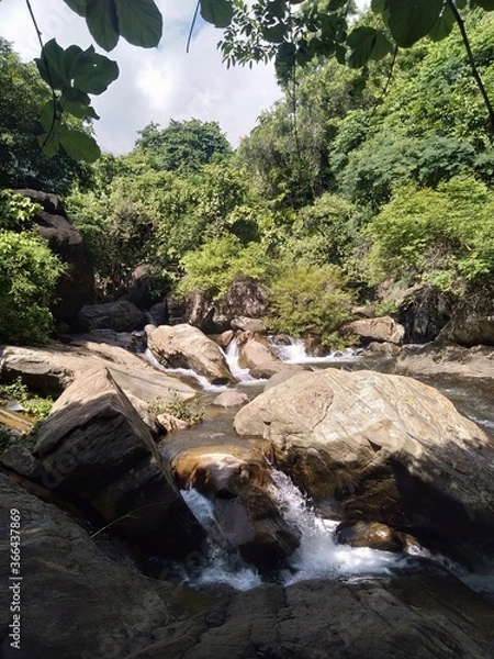Obraz Waterfall in the forest