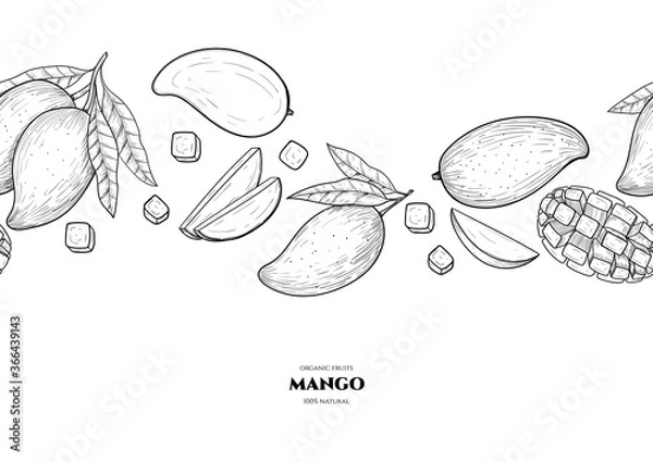 Fototapeta Vector frame with mango. Hand drawn. Vintage style