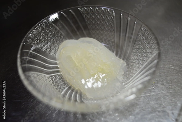 Fototapeta ところてん心太