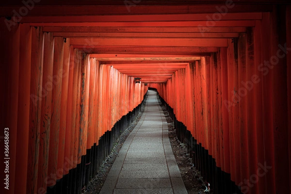 Fototapeta 誰もいない京都伏見稲荷大社の千本鳥居