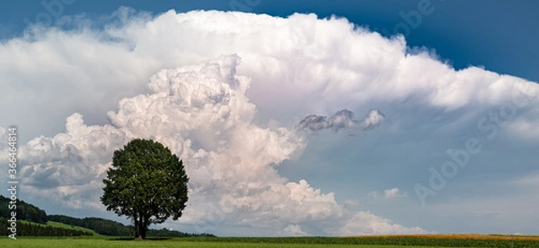 Fototapeta Aufziehendes Gewitter im Waldviertel