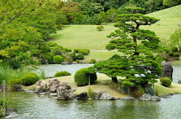 Obraz Japanese garden
