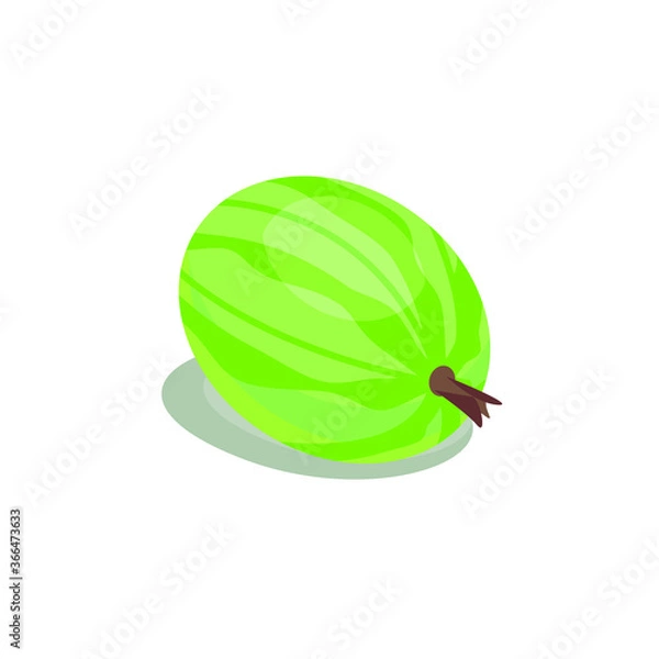 Obraz gooseberry berry, vector image