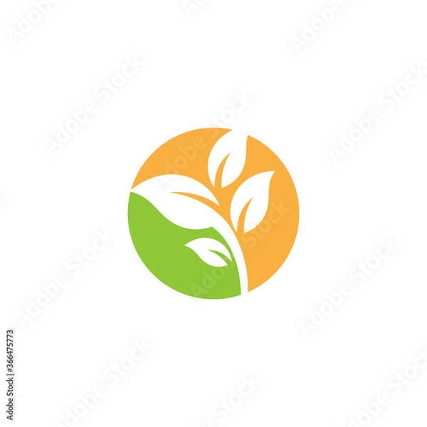 Fototapeta Leaf Logo Template vector symbol