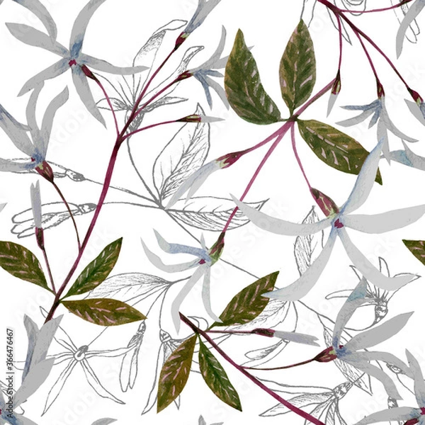 Obraz White flowers seamless watercolor pattern