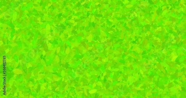 Obraz Green grass abstract texture background.