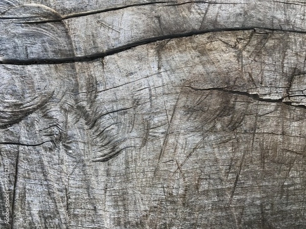 Obraz Grey old wood texture background.