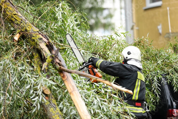 Fototapeta firefighters help clean up the effects of a fallen tree on cars after the storm in a rainy day.