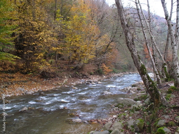 Obraz river in autumn