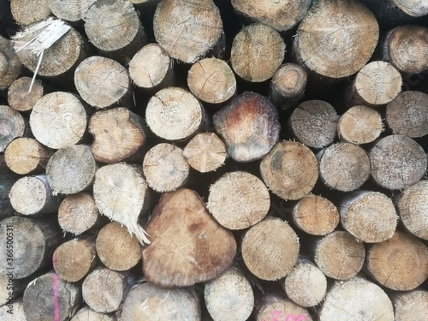 Obraz stack of wood