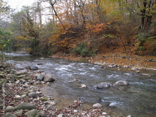 Obraz river in autumn