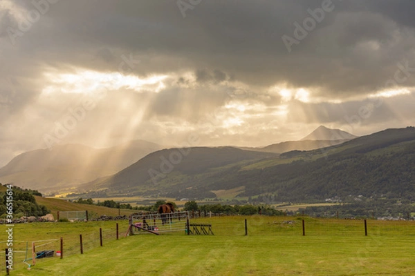 Obraz Farm in Aberfeldy during Summer 