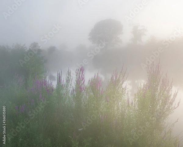 Obraz JayOBrien/JaynesGallery/DantaDelimont.com