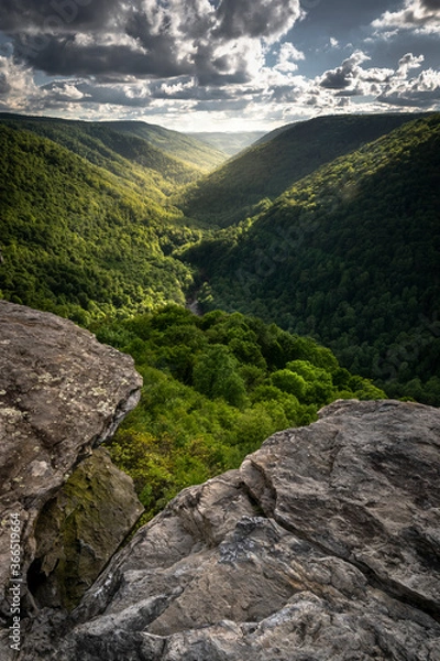 Obraz JayOBrien/JaynesGallery/DantaDelimont.com