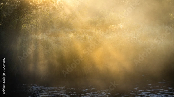 Obraz JayOBrien/JaynesGallery/DantaDelimont.com