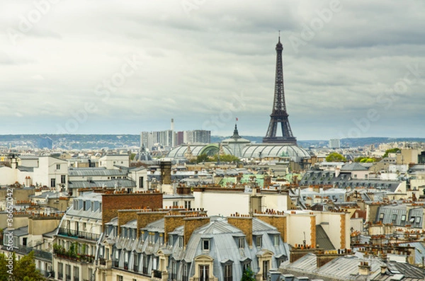 Obraz eiffel tower and roofs