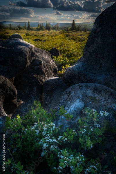 Obraz JayOBrien/JaynesGallery/DantaDelimont.com