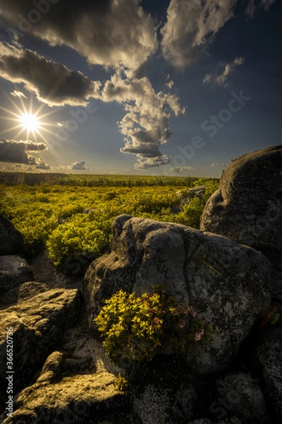 Obraz JayOBrien/JaynesGallery/DantaDelimont.com