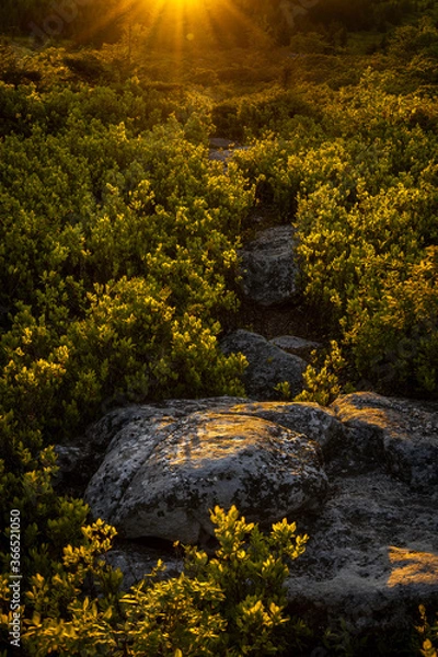 Obraz JayOBrien/JaynesGallery/DantaDelimont.com