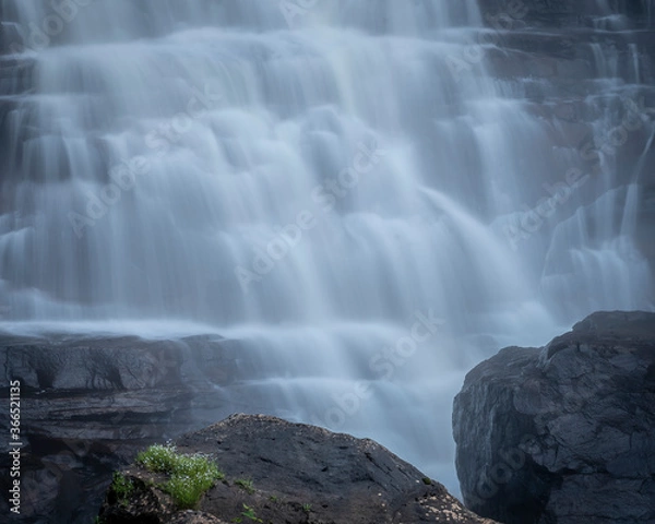 Obraz JayOBrien/JaynesGallery/DantaDelimont.com