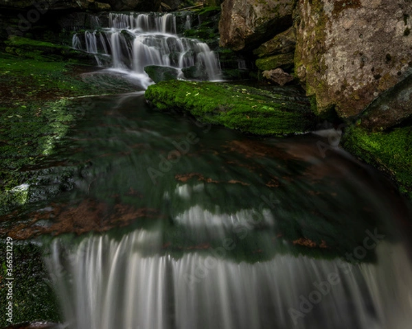 Obraz JayOBrien/JaynesGallery/DantaDelimont.com