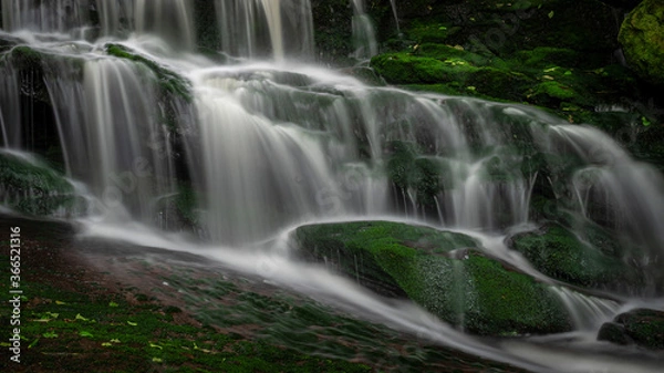 Obraz JayOBrien/JaynesGallery/DantaDelimont.com