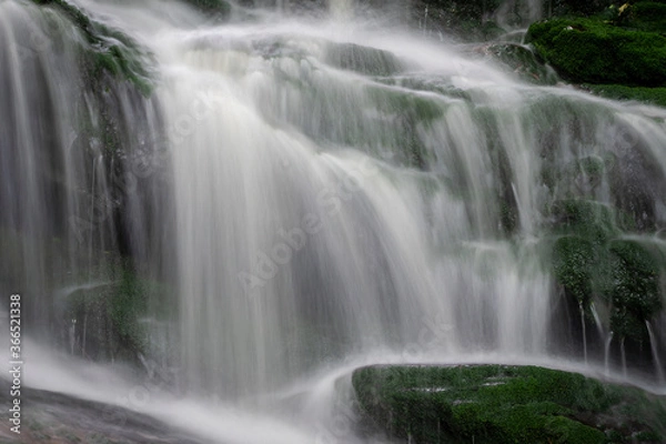 Obraz JayOBrien/JaynesGallery/DantaDelimont.com