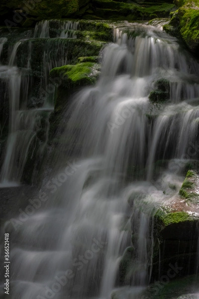 Obraz JayOBrien/JaynesGallery/DantaDelimont.com