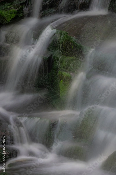 Obraz JayOBrien/JaynesGallery/DantaDelimont.com