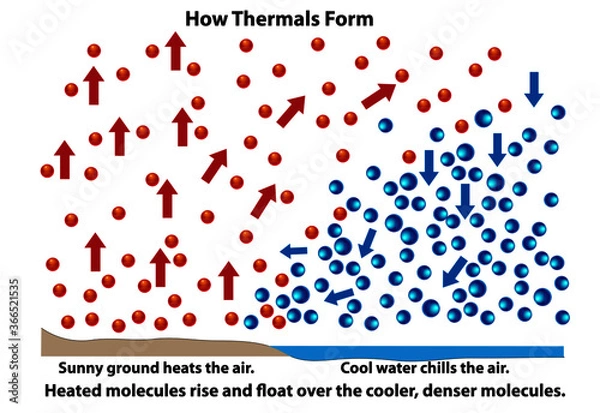 Obraz How thermals form. Science diagram showing how molecules react during heating and cooling over land or water.