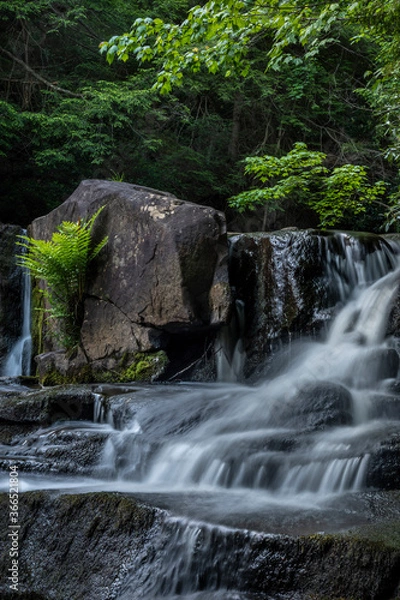 Obraz JayOBrien/JaynesGallery/DantaDelimont.com