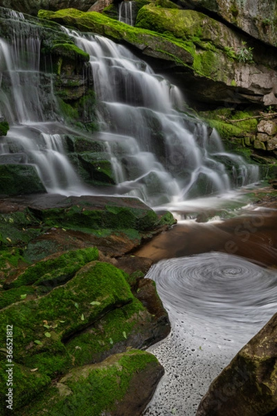 Obraz JayOBrien/JaynesGallery/DantaDelimont.com