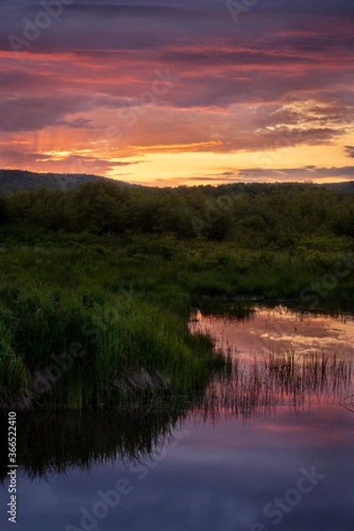 Obraz JayOBrien/JaynesGallery/DantaDelimont.com