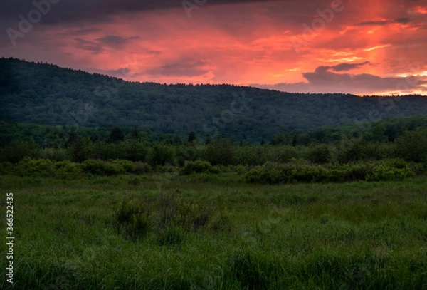 Obraz JayOBrien/JaynesGallery/DantaDelimont.com