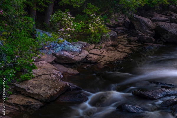 Obraz JayOBrien/JaynesGallery/DantaDelimont.com