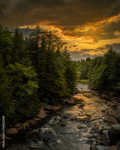 Obraz JayOBrien/JaynesGallery/DantaDelimont.com