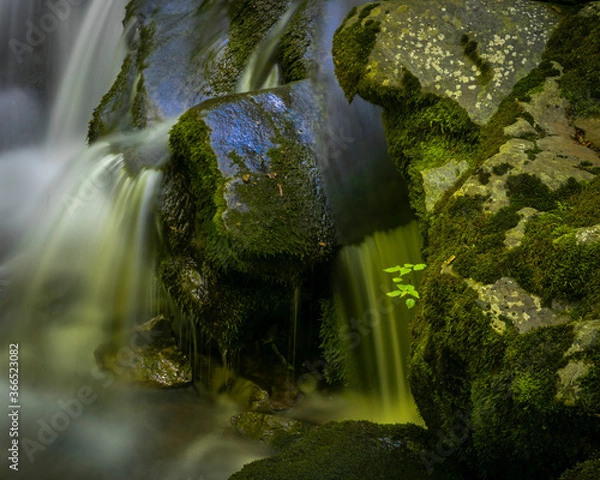 Obraz JayOBrien/JaynesGallery/DantaDelimont.com